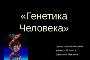 Презентация по биологии на тему: "Медицинская генетика